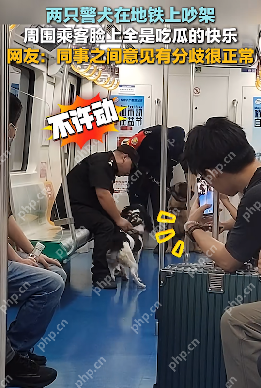 两只警犬在地铁上吵架 网友:同事之间意见有分歧很正常