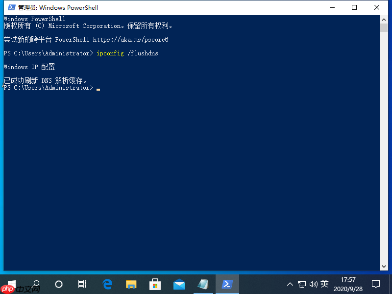 win10电脑出现DNS异常上不了网怎么办？