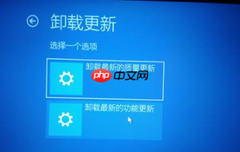 Win10 20H2版本KBKB5005565，出现使用中任务栏卡死的情况