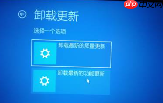 Win10 20H2版本KBKB5005565，出现使用中任务栏卡死的情况