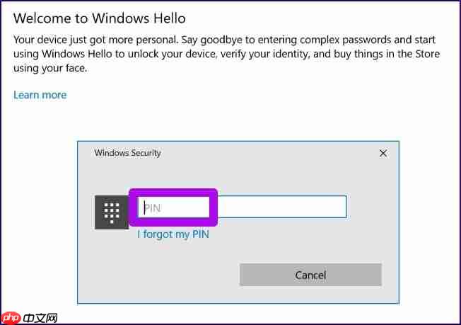 Win10电脑如何设置Windows Hello？