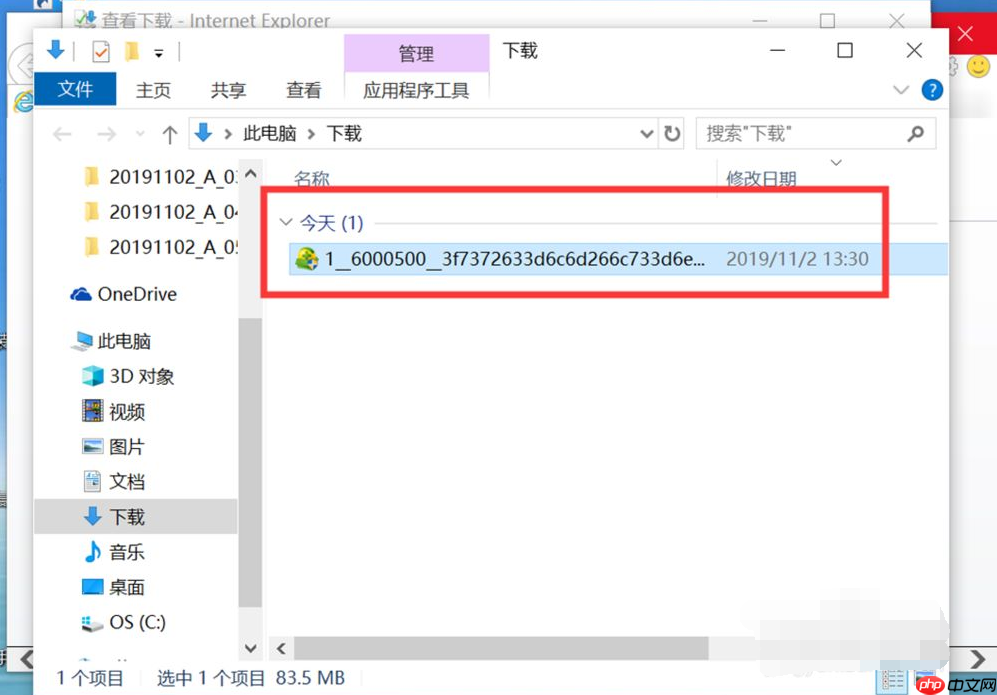 Win10专业版IE浏览器下载的文件在哪？