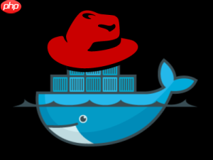 「实战篇」开源项目docker化运维部署-linux和docker基本命令（三）