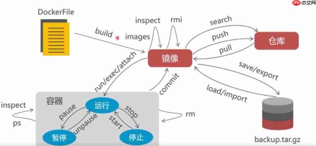 「实战篇」开源项目docker化运维部署-linux和docker基本命令（三）