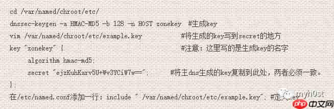 配置漏洞之DNS域传送