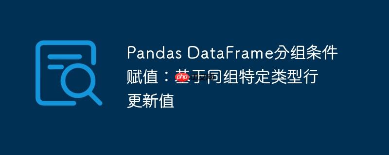 Pandas DataFrame分组条件赋值：基于同组特定类型行更新值