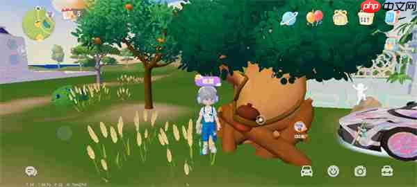 心动小镇9.15溜溜橡木与无瑕萤石位置