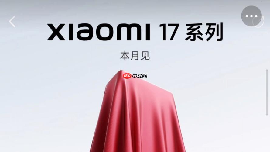 小米17重量比iPhone17轻多少_机身重量与厚度参数对比