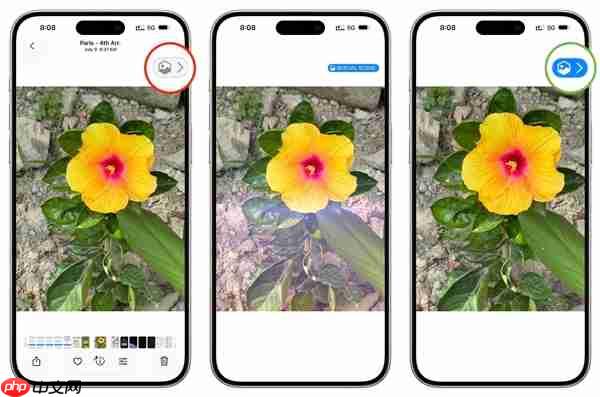 苹果iOS 26新功能被夸爆：普通照片秒变裸眼3D照 还能设置3D壁纸