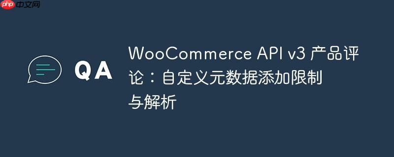 WooCommerce API v3 产品评论：自定义元数据添加限制与解析