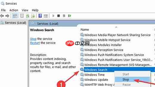 win10系统windows.edb文件可以删除吗？