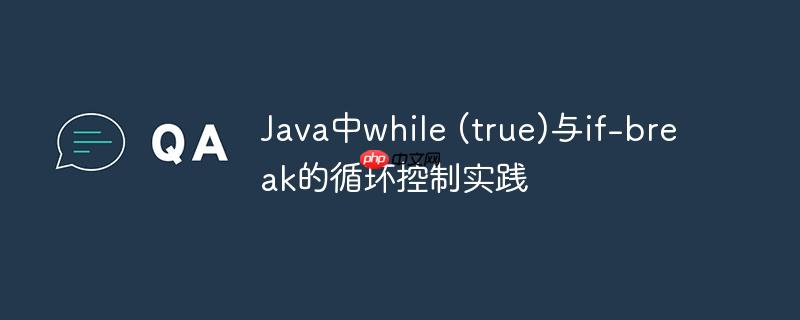 Java中while (true)与if-break的循环控制实践