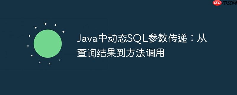 Java中动态SQL参数传递：从查询结果到方法调用