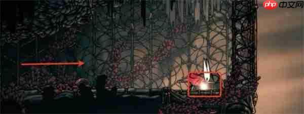 空洞骑士丝之歌织者雕像怎么收集-空洞骑士丝之歌织者雕像全收集介绍