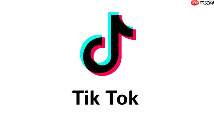 TikTok国际版官方入口访问 TikTok国际版在线登录入口