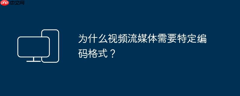 为什么视频流媒体需要特定编码格式？