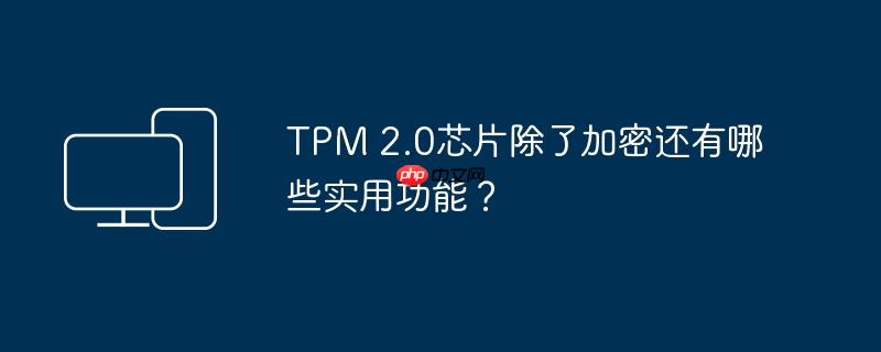 TPM 2.0芯片除了加密还有哪些实用功能？