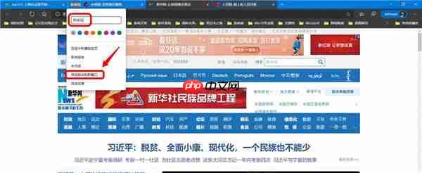 Win10怎么使用Tab Groups标签分组批量管理页面？