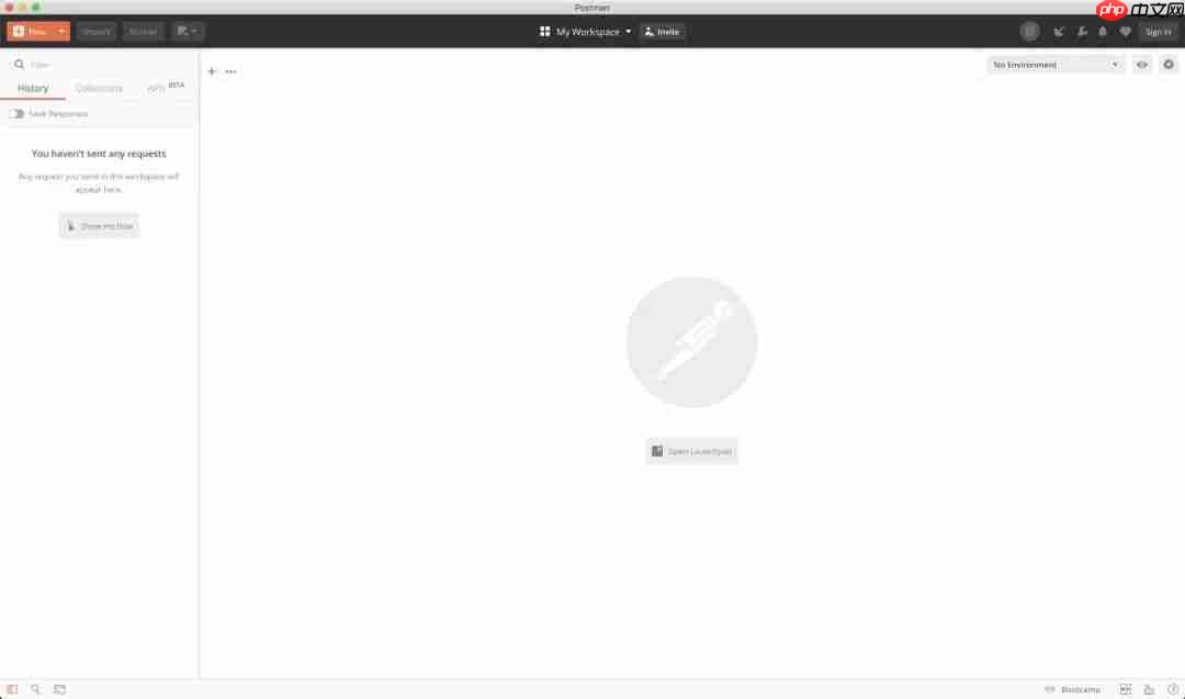 你会换掉Postman吗？我正在用HTTP Client…