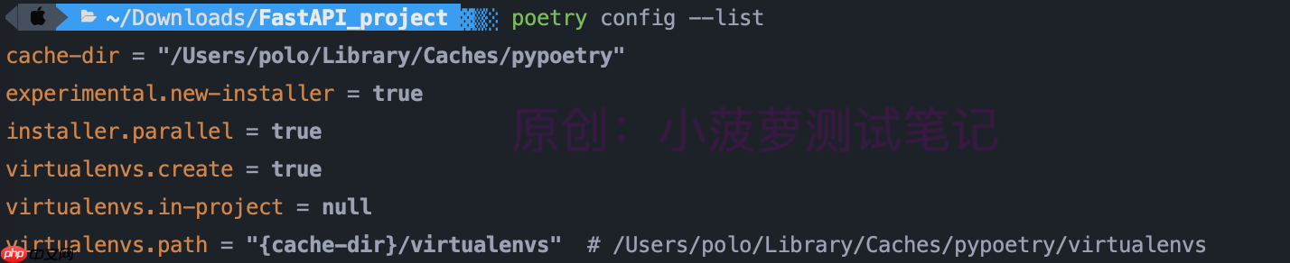 Python - poetry(3)配置项详解