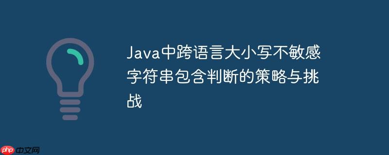 Java中跨语言大小写不敏感字符串包含判断的策略与挑战