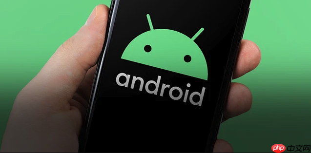 Huawei P60数据丢失怎么办 Huawei手机数据恢复方法