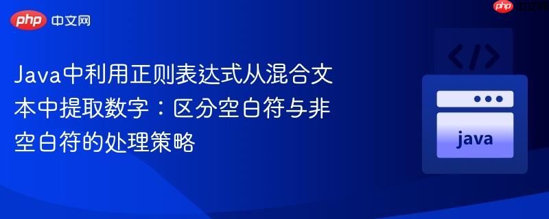 Java中利用正则表达式从混合文本中提取数字：区分空白符与非空白符的处理策略