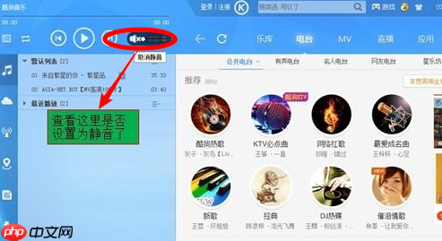 电脑声音播放不了怎么办？电脑声音播放不了处理方法