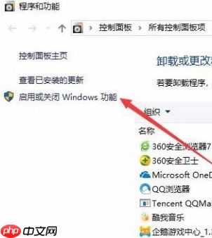 Win10没有hyperv选项只有虚拟机平台怎么回事？