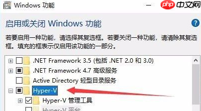 Win10没有hyperv选项只有虚拟机平台怎么回事？
