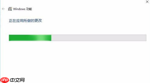 Win10没有hyperv选项只有虚拟机平台怎么回事？