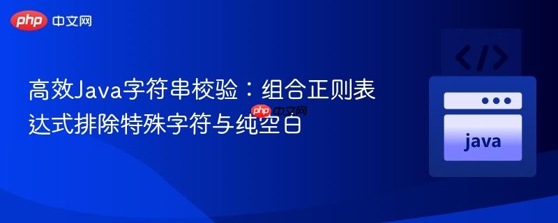 高效Java字符串校验：组合正则表达式排除特殊字符与纯空白