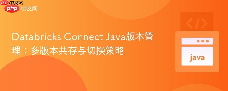 Databricks Connect Java版本管理：多版本共存与切换策略
