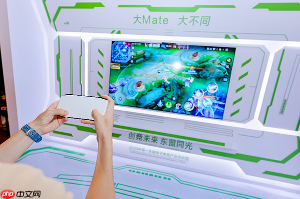 华为智慧屏 MateTV惊艳亮相中国-东盟电子体育产业活动周