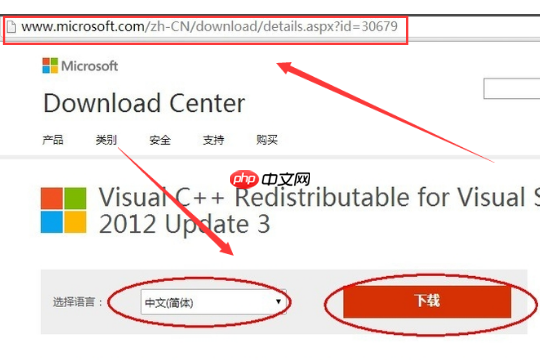 win10电脑中丢失msvcr110.dll如何解决？