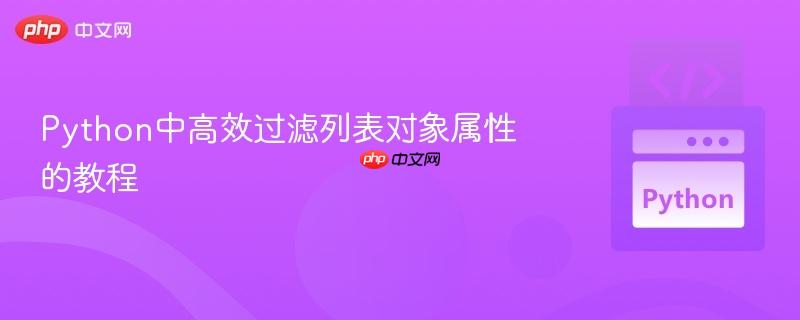 Python中高效过滤列表对象属性的教程