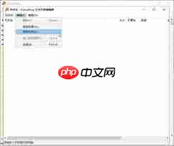 Everything如何添加文件