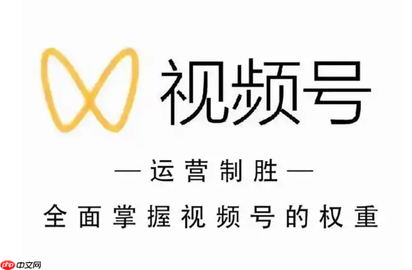 如何提升视频号关注数？五大策略：明确定位、高质量内容、定期更新、互动交流与推广手段！