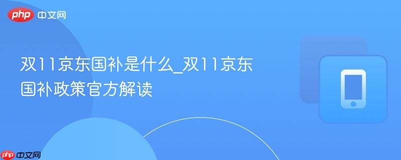 双11京东国补是什么_双11京东国补政策官方解读
