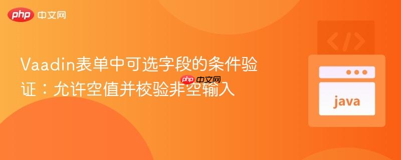 Vaadin表单中可选字段的条件验证：允许空值并校验非空输入