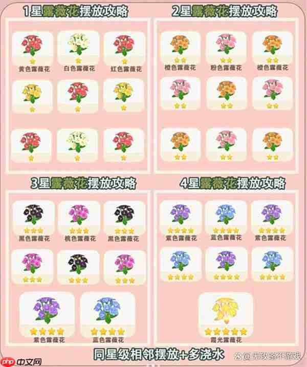 心动小镇露薇花杂交培育指南