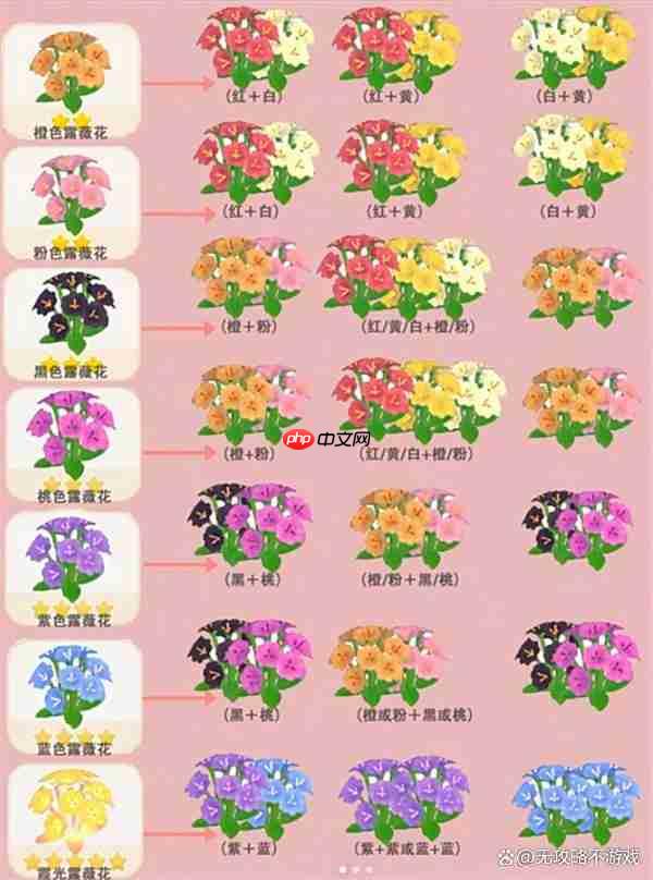 心动小镇露薇花杂交培育指南