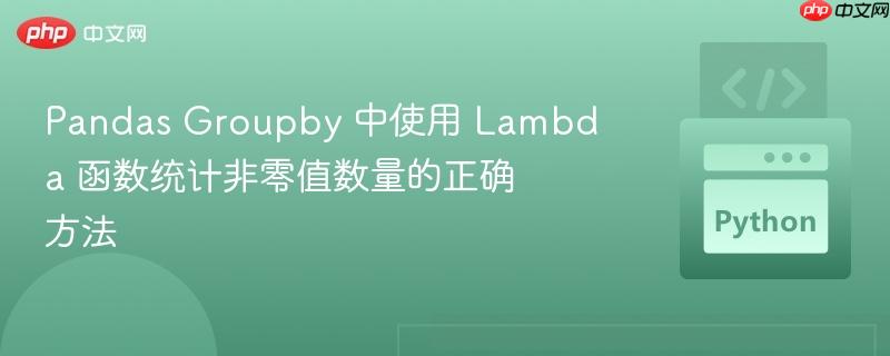 pandas groupby 中使用 lambda 函数统计非零值数量的正确方法