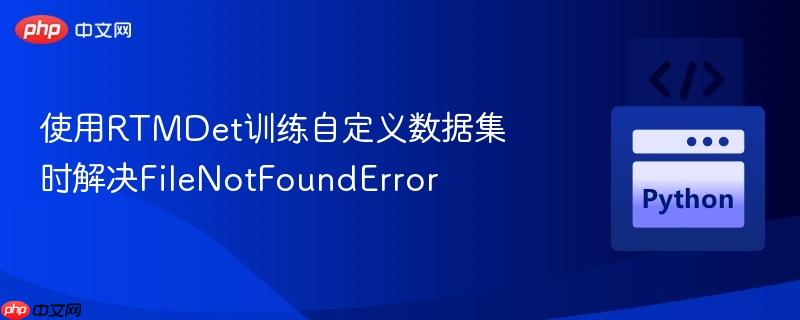 使用rtmdet训练自定义数据集时解决filenotfounderror