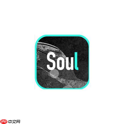 soul如何查看自己的粉丝_soul查看粉丝列表操作指南