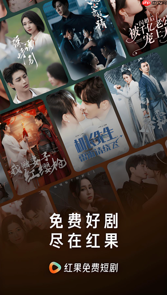 红果短视频登录不了是什么原因_红果短视频登录异常解决方法