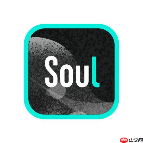 Soul语音通话质量不好怎么办_Soul语音通话质量优化
