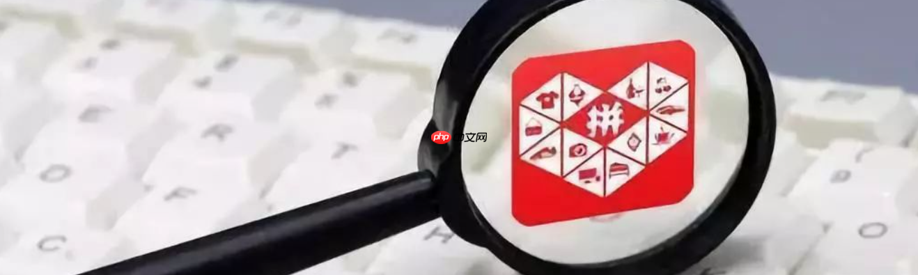 拼多多百亿补贴的商品是正品吗？百亿补贴和旗舰店有啥区别？拼多多百亿补贴真能捡漏？旗舰店VS百亿补贴终极对比！教你一眼识破假货陷阱！