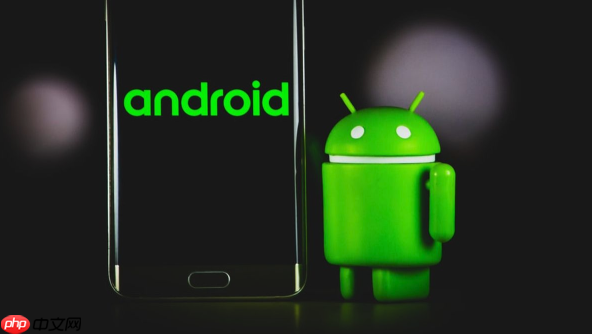 小米 12S Pro拍照慢怎么办 Xiaomi 12S Pro相机优化