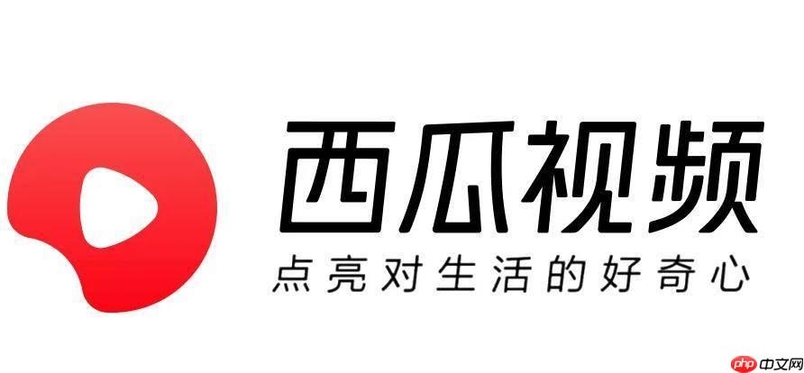 西瓜视频pc版首次登录怎么操作_西瓜视频pc版首次登录账号图文教程